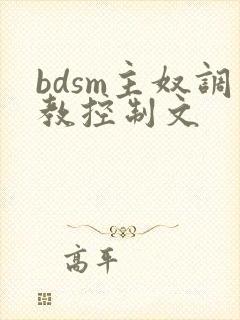 bdsm主奴调教控制文封面