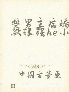 双男主病娇占有欲很强he小说