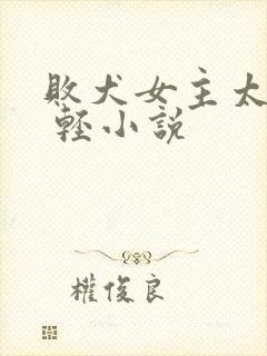 败犬女主太多了 轻小说封面