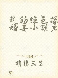 我的绝色总裁未婚妻小说免费看