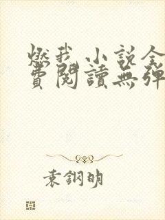 燃我小说全文免费阅读无弹窗