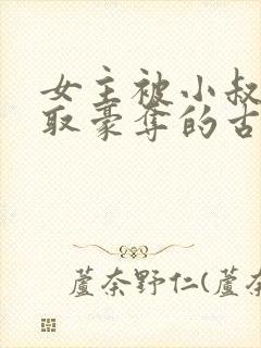 女主被小叔子强取豪夺的古言