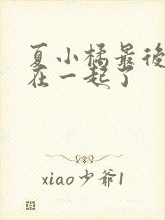 夏小橘最后和谁在一起了