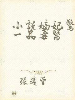 小说嫡妃惊华:一品毒医