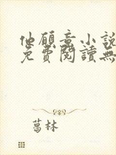 他愿意小说全文免费阅读无弹窗