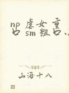np 虐女 重口 sm 粗口小说