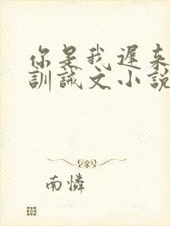 你是我迟来的光训诫文小说在线阅读