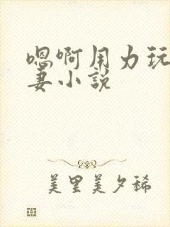 嗯啊用力玩弄人妻小说