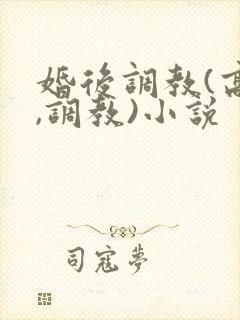 婚后调教(高h,调教)小说