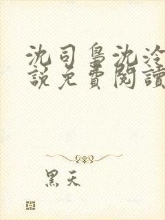 沈司枭沈泠初小说免费阅读最新章节