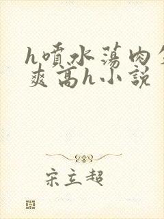 h喷水荡肉失禁爽高h小说