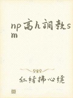 np高h调教sm封面