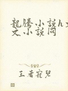 龙腾小说h文辣文小说网