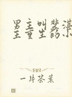 男主叫裴湛,女主重生的小说