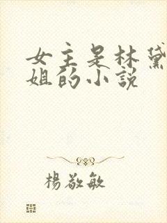 女主是林黛玉姐姐的小说