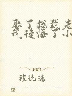 娶了总裁老婆后我后悔了小说