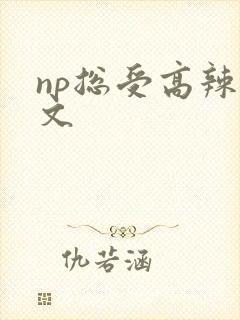 np总受高辣h文