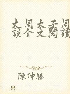 大周太子周铮小说全文阅读笔趣阁
