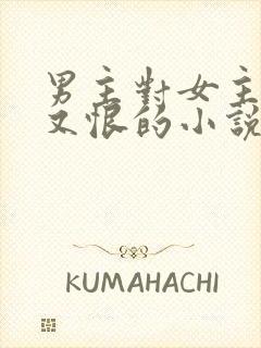 男主对女主又爱又恨的小说