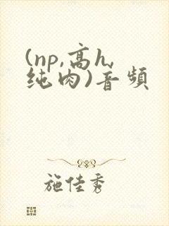 (np,高h,纯肉)音频