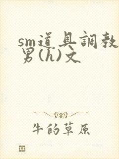 sm道具调教男男(h)文封面