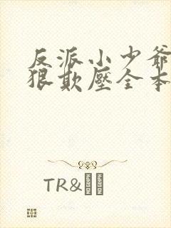 反派小少爷被狠狠欺压全本txt