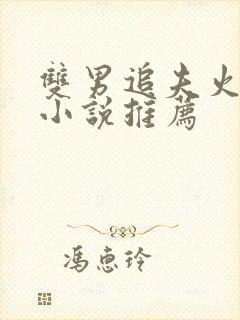 双男追夫火葬场小说推荐封面