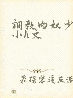 调教肉奴少司缘小h文