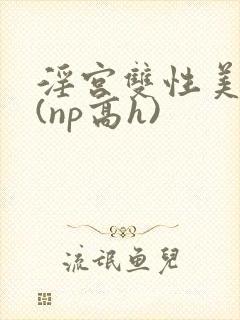 淫宫双性美人录(np高h)