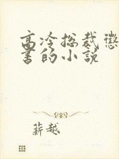 高冷总裁惩罚秘书的小说