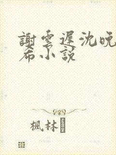 谢云迟沈晚梨叶希小说