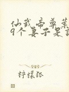 仙武帝尊叶辰19个妻子是谁