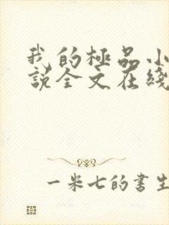 我的极品小姨小说全文在线阅读封面