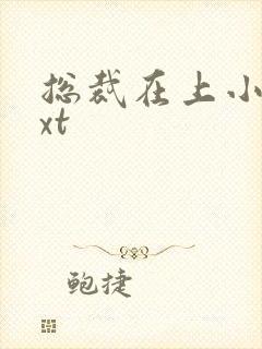 总裁在上小说txt