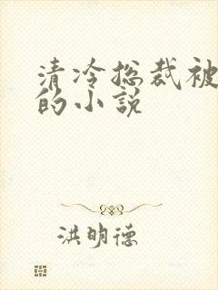 清冷总裁被惩罚的小说