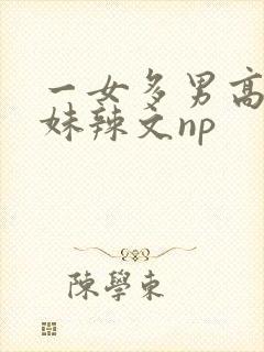 一女多男高h兄妹辣文np