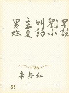 男主叫刘星女主姓夏的小说