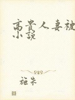 高贵人妻被调教小说