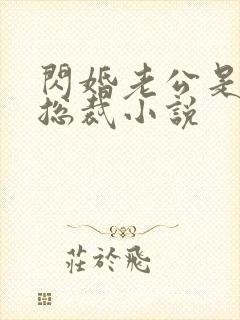 闪婚老公是千亿总裁小说