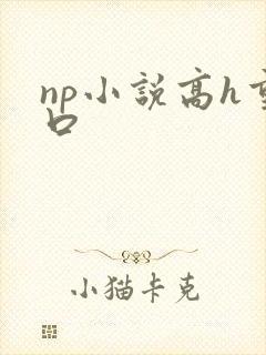 np小说高h重口
