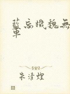 蓝忘机魏无羡肉车