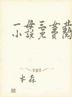 一母三女共一婿小说免费阅读