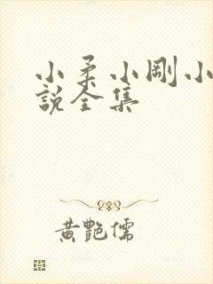 小柔小刚小正小说全集