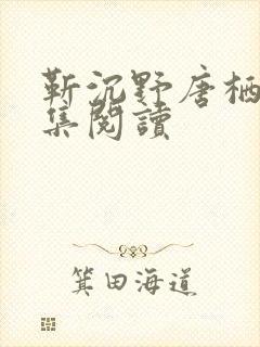 靳沉野唐栖雾全集阅读