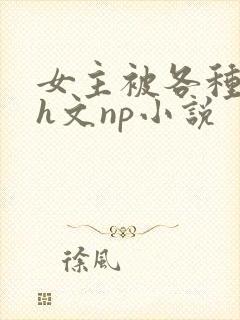 女主被各种调教h文np小说
