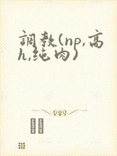 调教(np,高h,纯肉)封面