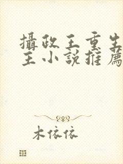 摄政王重生双男主小说推荐封面