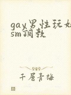 gay男性玩奴sm调教
