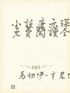 小说唐亦琛林舒免费阅读全文封面