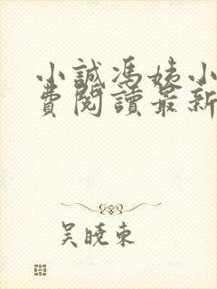 小诚冯姨小说免费阅读最新章节封面